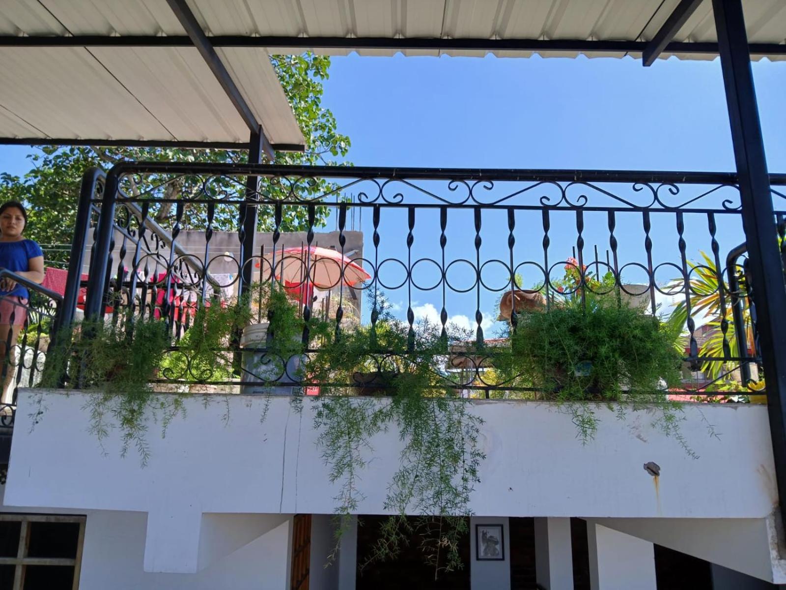 Alojamiento Familiar Custodia Tarapoto Luaran gambar