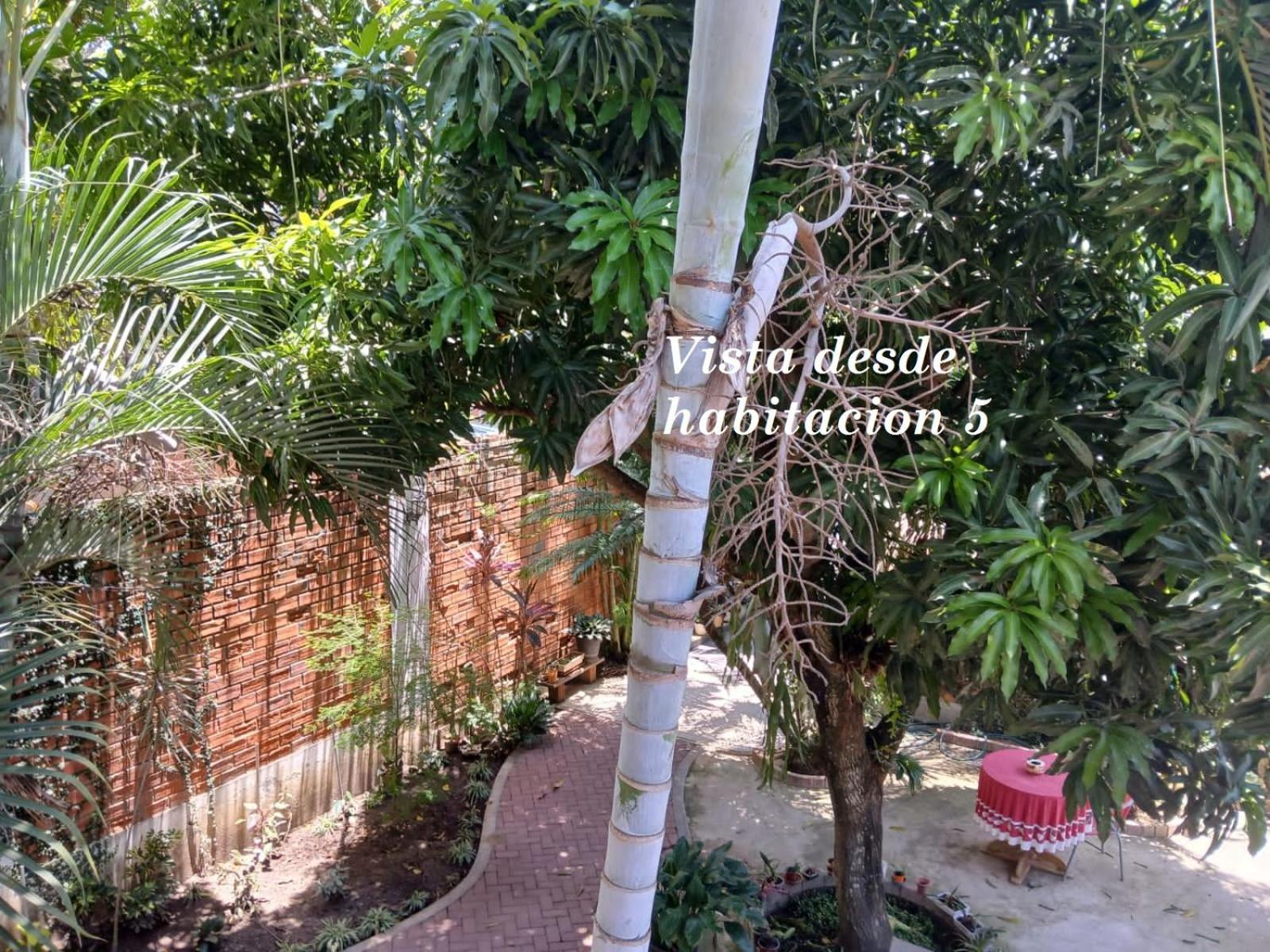 Alojamiento Familiar Custodia Tarapoto Luaran gambar